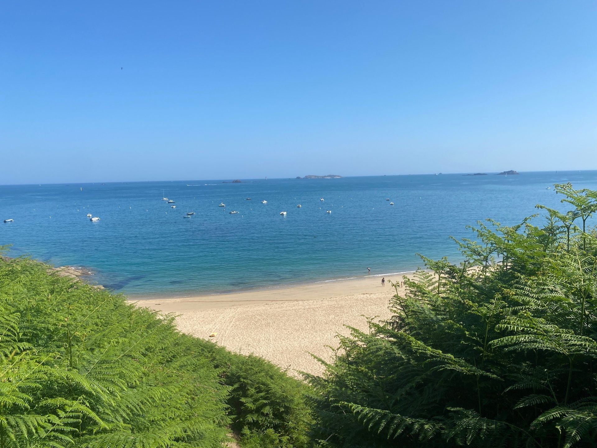 Vente Maison Saint-Lunaire 35800 203 m²