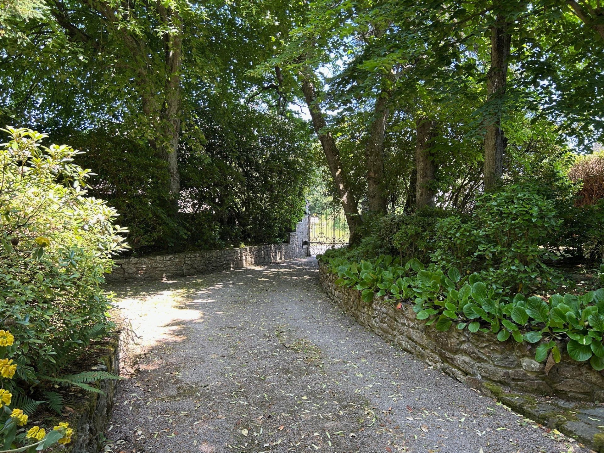 Sale Property Saint-Briac-sur-Mer 35800 560 m²