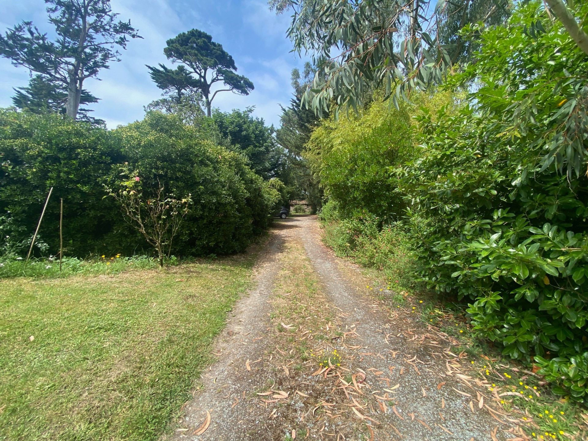 Sale House Saint-Coulomb 35350 172 m²