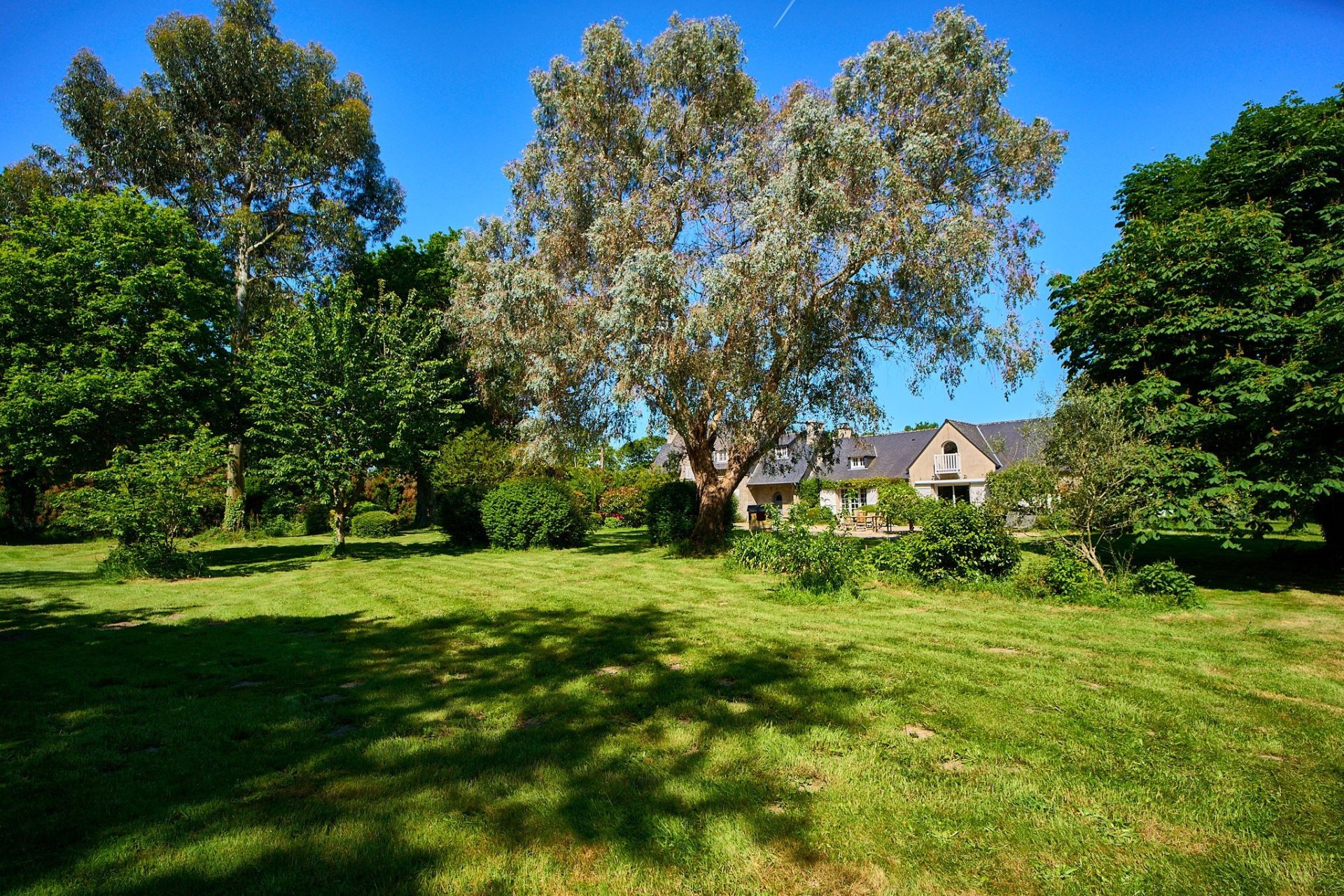 Sale House Saint-Lunaire 35800 276 m²