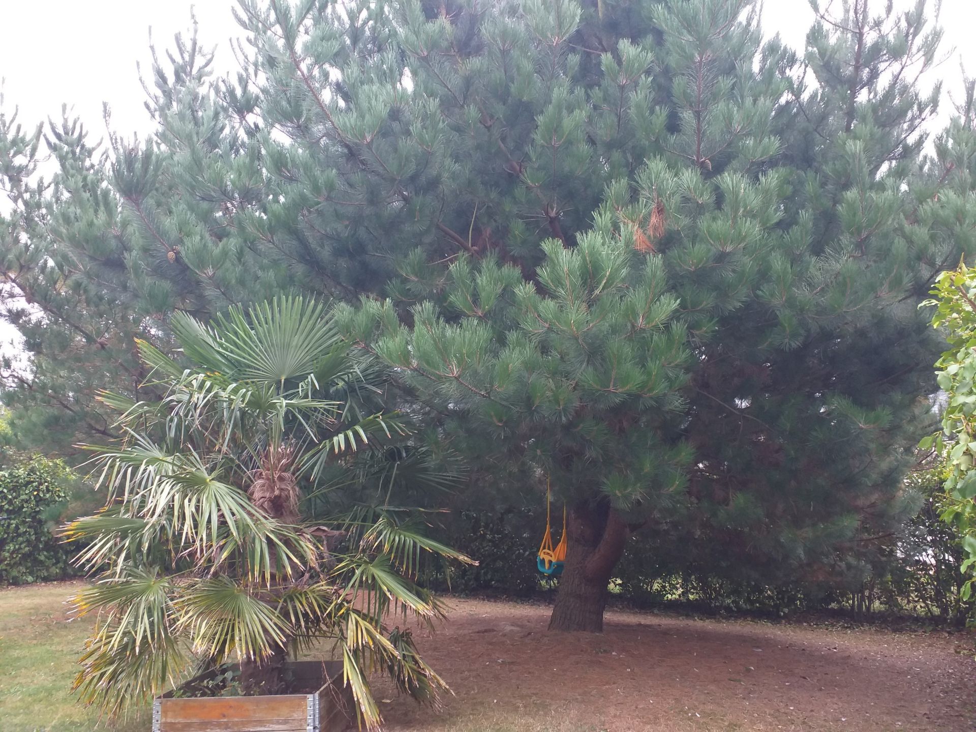 Sale House Pleurtuit 35730 101 m²