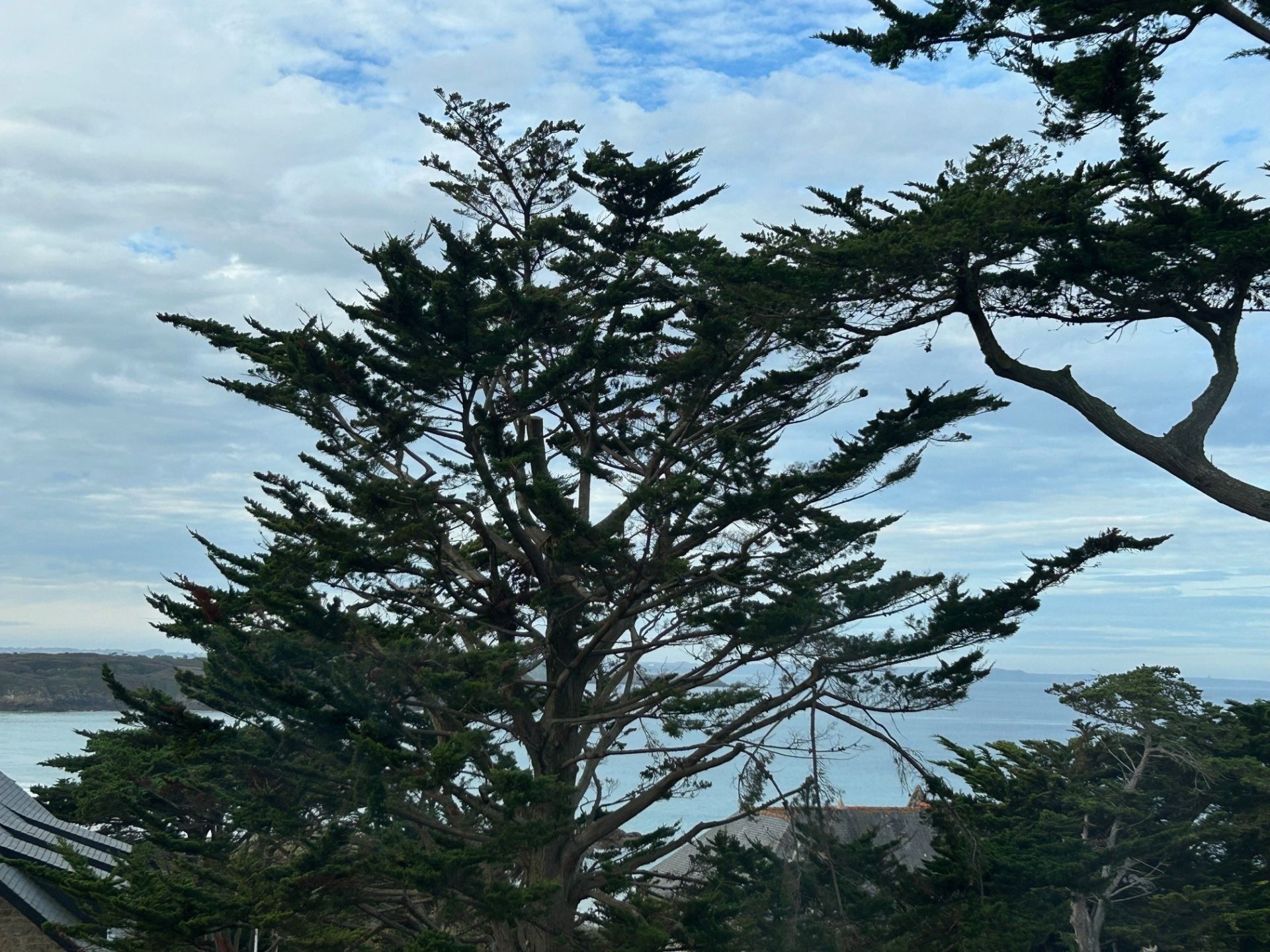 Sale House Saint-Lunaire 35800 231 m²