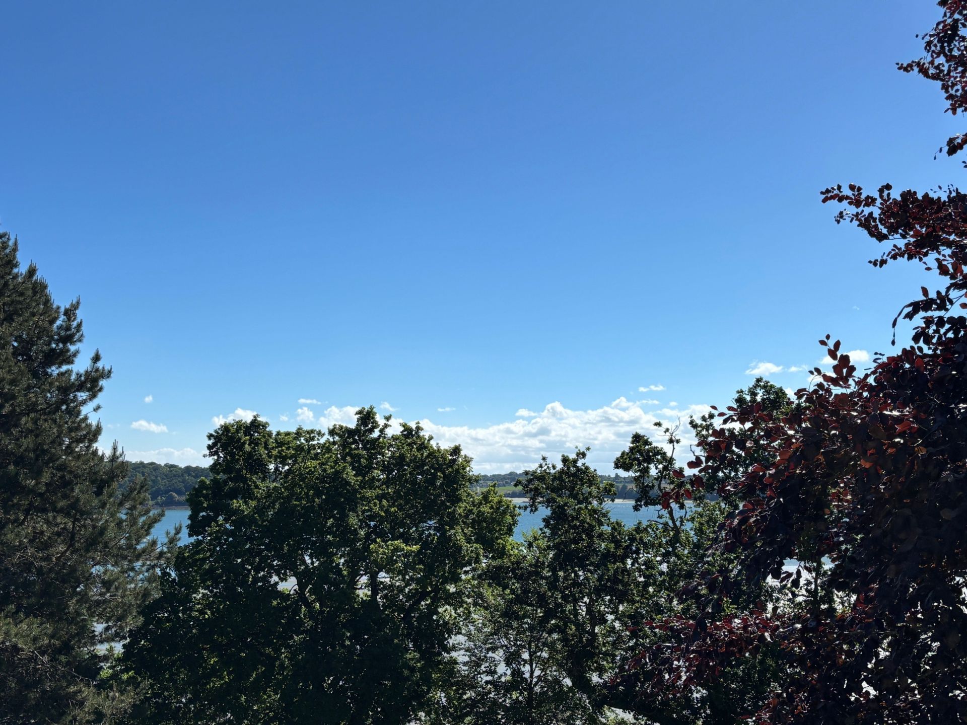 Vente Maison Dinard 35800 223&nbsp;m²