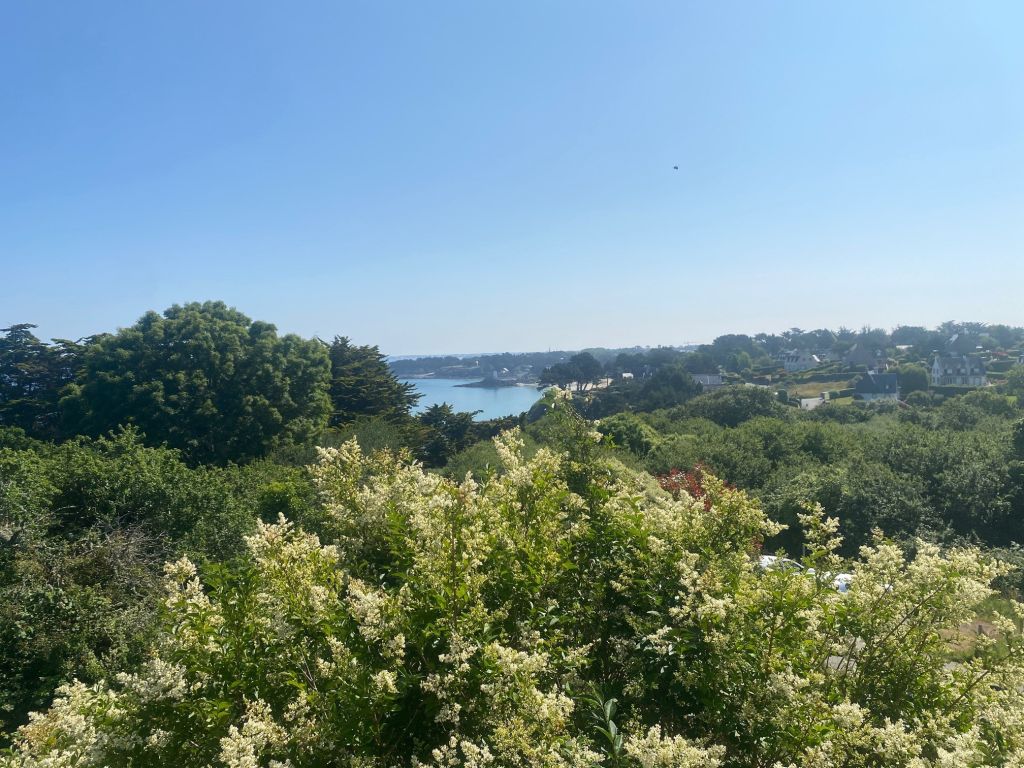 house 10 rooms for sale on ST LUNAIRE (35800)